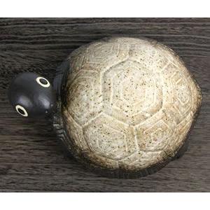 信楽焼 9号亀 粉引き風 可愛い風貌の陶器カメ 。縁起物のかめ ok-0057