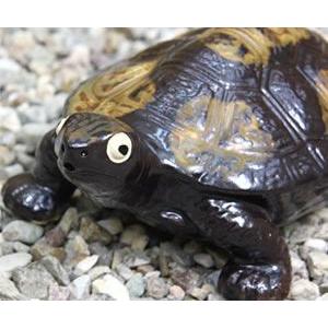 信楽焼 8号福亀 おきもの 長寿にご利益がある亀 縁起物のかめ 置物