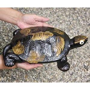 信楽焼 10号福亀おきもの 送料無料 長寿にご利益がある亀 縁起物のかめ