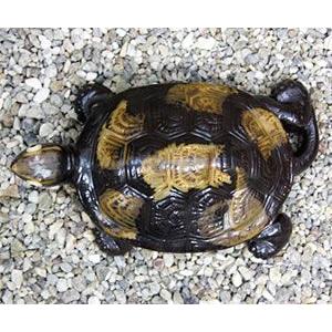 信楽焼 10号福亀おきもの 送料無料 長寿にご利益がある亀 縁起物のかめ