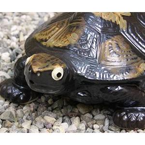 信楽焼 10号福亀おきもの 送料無料 長寿にご利益がある亀 縁起物のかめ