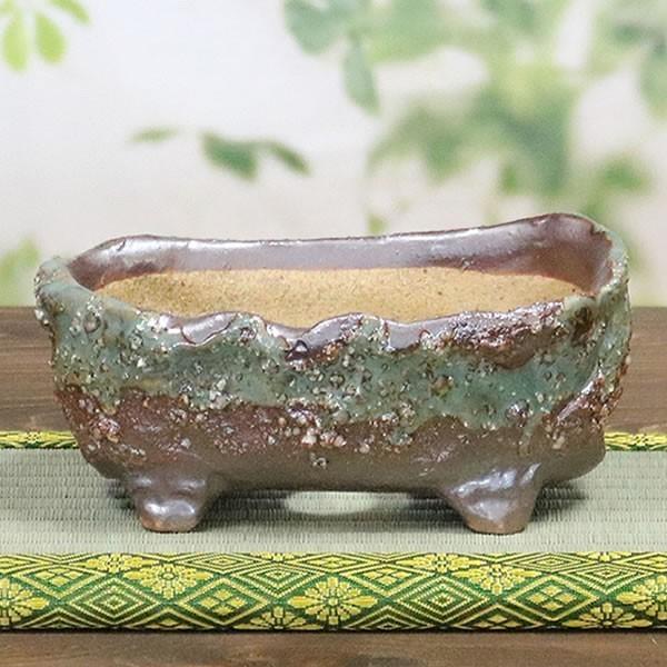 山野草鉢 信楽焼 手づくり 山草鉢 鉢 山草 コケ玉 手作り 植木鉢 陶器