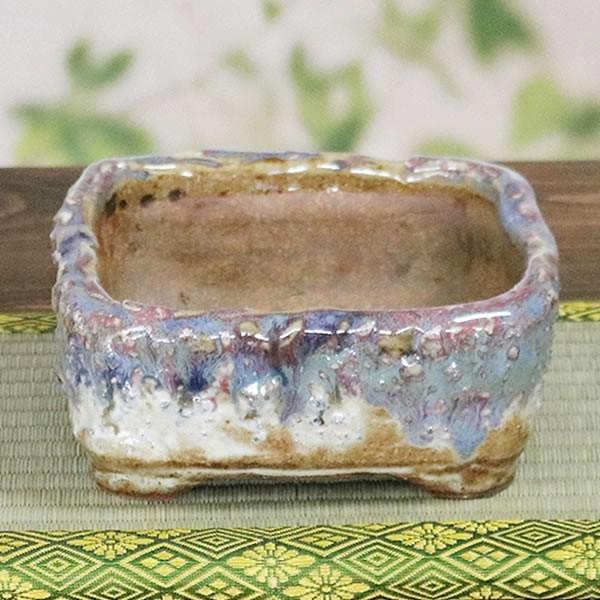 山野草鉢 信楽焼 手づくり 山草鉢 鉢 山草 鉢 コケ玉 手作り 植木鉢 陶器 やきもの いがらき 多肉植物 サボテン 多肉 サボテン鉢 奥田康人作 sa-0315