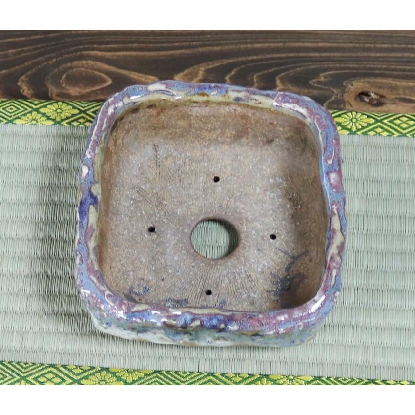 山野草鉢 信楽焼 手づくり 山草鉢 鉢 山草 鉢 コケ玉 手作り 植木鉢 陶器 やきもの いがらき 多肉植物 サボテン 多肉 サボテン鉢 奥田康人作 sa-0315_2