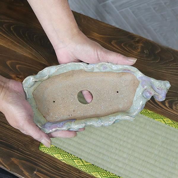 山野草鉢 信楽焼 手づくり 山草鉢  鉢 山草 鉢 コケ玉 手作り 植木鉢 陶器 やきもの いがらき 多肉植物 サボテン 多肉 サボテン鉢 奥田康人作 sa-0317の画像