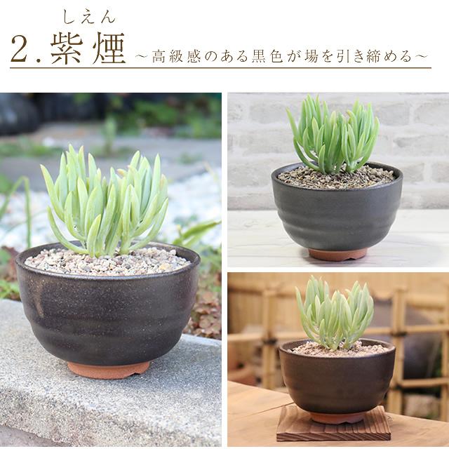 信楽焼 プランター 信楽焼 植木鉢 陶器 おしゃれ 山草鉢 フラワーポット サボテン鉢