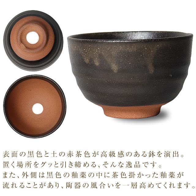 信楽焼 植木鉢 陶器 おしゃれ 山草鉢 フラワーポット サボテン鉢 多肉