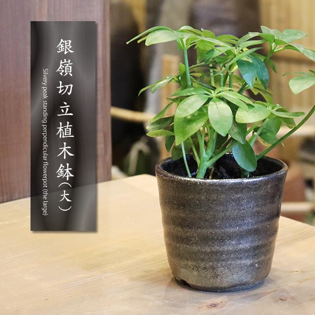信楽焼 植木鉢 陶器 おしゃれ 山草鉢 フラワーポット サボテン鉢 多肉