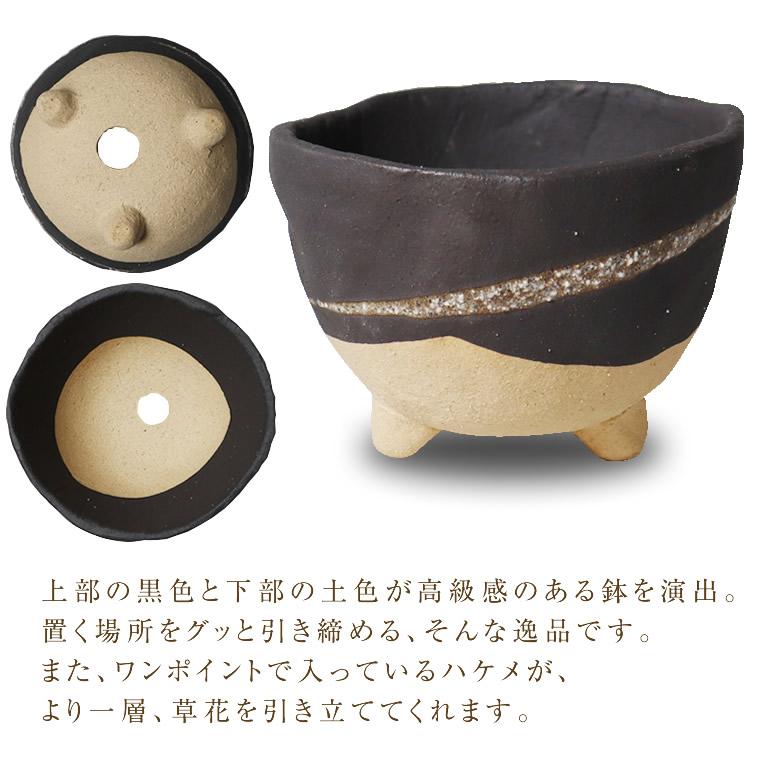 信楽焼 植木鉢 陶器 おしゃれ 山草鉢 フラワーポット サボテン鉢 信楽焼 植木鉢 陶器 おしゃれ 山草鉢 フラワーポット サボテン鉢