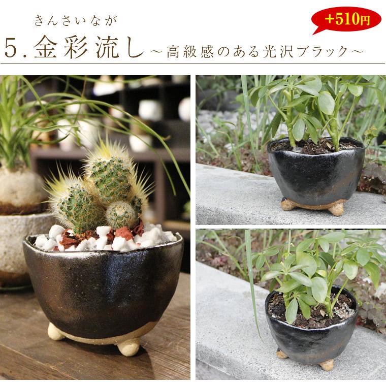 信楽焼 植木鉢 陶器 おしゃれ 山草鉢 フラワーポット サボテン鉢 信楽焼 植木鉢 陶器 おしゃれ 山草鉢 フラワーポット サボテン鉢