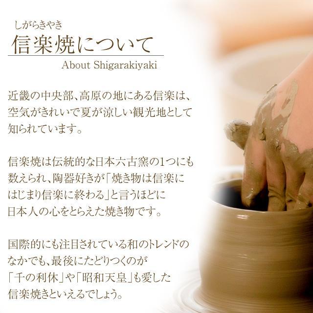 信楽焼 植木鉢 陶器 おしゃれ 山草鉢 フラワーポット サボテン鉢 信楽焼 植木鉢 陶器 おしゃれ 山草鉢 フラワーポット サボテン鉢
