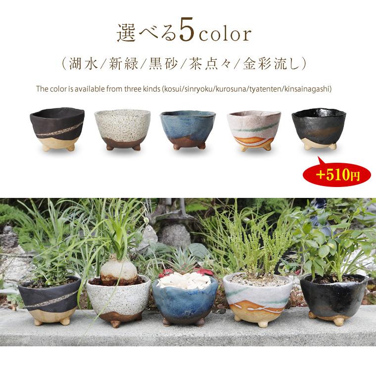信楽焼 植木鉢 陶器 おしゃれ 山草鉢 フラワーポット サボテン鉢 信楽焼 植木鉢 陶器 おしゃれ 山草鉢 フラワーポット サボテン鉢