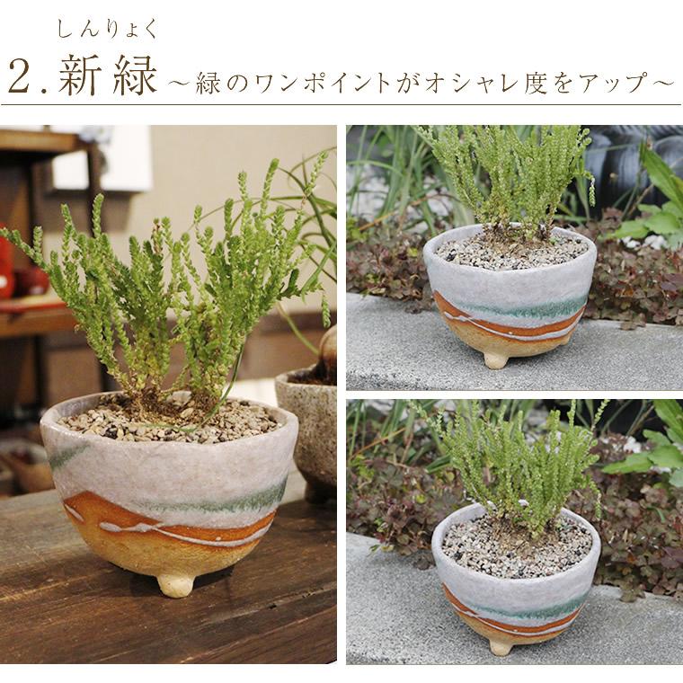 信楽焼 植木鉢 陶器 おしゃれ 山草鉢 フラワーポット サボテン鉢 多肉鉢 プランター 国産 鉢植え 盆栽鉢 山野草鉢 鉢 焼き物 選べる5色 足付き植木鉢 sa-0334｜shigaraki｜14