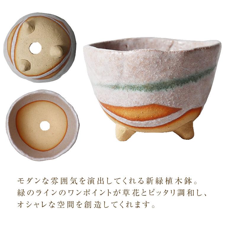 信楽焼 植木鉢 陶器 おしゃれ 山草鉢 フラワーポット サボテン鉢 信楽焼 植木鉢 陶器 おしゃれ 山草鉢 フラワーポット サボテン鉢
