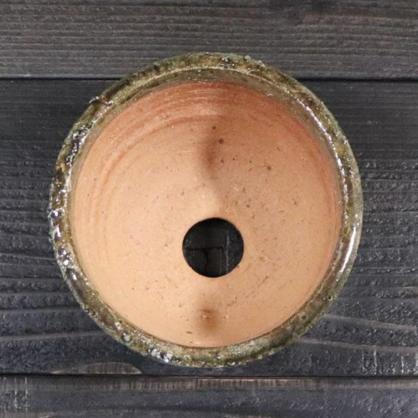 山野草鉢 信楽焼 手づくり 山草鉢 鉢 山草 コケ玉 手作り 植木鉢 陶器