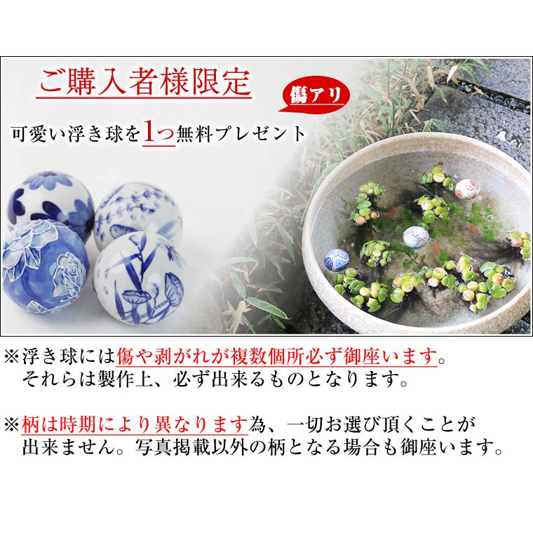 信楽焼 睡蓮鉢 メダカ鉢 おしゃれ めだか鉢 陶器 水鉢 ビオトープ