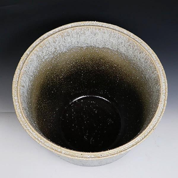 信楽焼 睡蓮鉢 メダカ鉢 おしゃれ めだか鉢 陶器 水鉢 ビオトープ