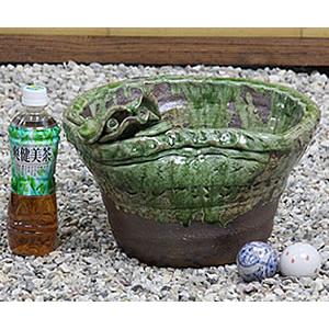 信楽焼 睡蓮鉢 メダカ鉢 おしゃれ めだか鉢 陶器 水鉢 ビオトープ