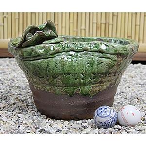 信楽焼 睡蓮鉢 メダカ鉢 おしゃれ めだか鉢 陶器 水鉢 ビオトープ