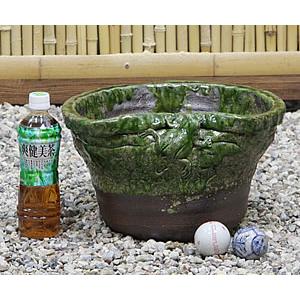 信楽焼 睡蓮鉢 メダカ鉢 めだか鉢 陶器 水鉢 ビオトープ 金魚鉢 信楽焼