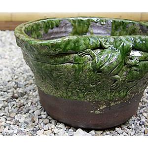 信楽焼 睡蓮鉢 メダカ鉢 めだか鉢 陶器 水鉢 ビオトープ 金魚鉢 信楽焼