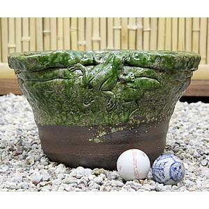 信楽焼 睡蓮鉢 メダカ鉢 めだか鉢 陶器 水鉢 ビオトープ 金魚鉢 信楽焼