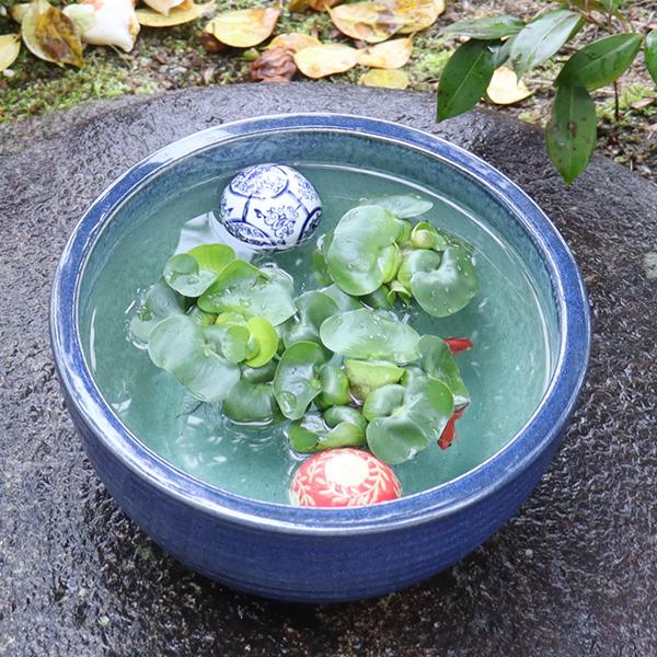 信楽焼 睡蓮鉢 メダカ鉢 おしゃれ めだか鉢 陶器 水鉢 信楽焼 睡蓮鉢 メダカ鉢 おしゃれ めだか鉢 陶器 水鉢