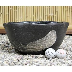 信楽焼 睡蓮鉢 メダカ鉢 おしゃれ めだか鉢 陶器 水鉢 ビオトープ