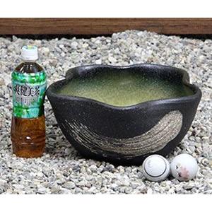 【美品】信楽焼  睡蓮鉢  15号 メダカ   直径45cm  浮玉2つおまけ Amazon.co.jp: 信楽焼 15号ナマコ色 すいれん鉢 メダカ鉢 睡蓮鉢