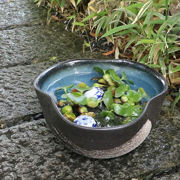 信楽焼 睡蓮鉢 メダカ鉢 おしゃれ めだか鉢 陶器 水鉢 ビオトープ