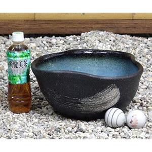 信楽焼 睡蓮鉢 メダカ鉢 おしゃれ めだか鉢 陶器 水鉢 ビオトープ