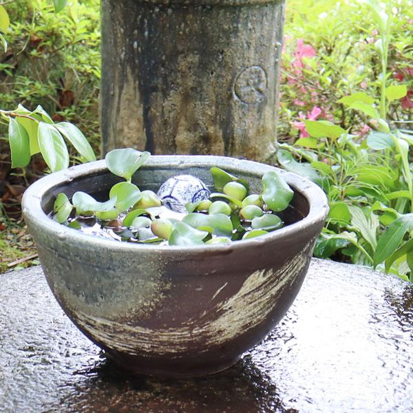 信楽焼 10号 すいれん鉢 メダカ鉢 金魚鉢 陶器 睡蓮鉢 手水鉢 鉢 睡蓮