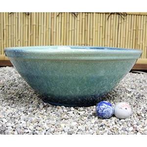 信楽焼 睡蓮鉢 メダカ鉢 おしゃれ めだか鉢 陶器 水鉢 ビオトープ