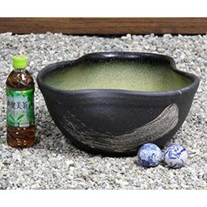 信楽焼 睡蓮鉢 メダカ鉢 おしゃれ めだか鉢 陶器 水鉢 ビオトープ