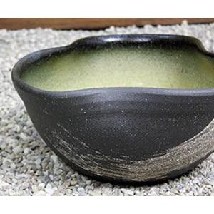 信楽焼 睡蓮鉢 メダカ鉢 おしゃれ めだか鉢 陶器 水鉢 ビオトープ