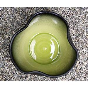 信楽焼 睡蓮鉢 メダカ鉢 おしゃれ めだか鉢 陶器 水鉢 ビオトープ