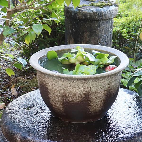 信楽焼 メダカ鉢 睡蓮鉢 水鉢 106 直径３３cm 信楽焼 睡蓮鉢 メダカ鉢 おしゃれ めだか鉢 陶器 水鉢 ビオトープ