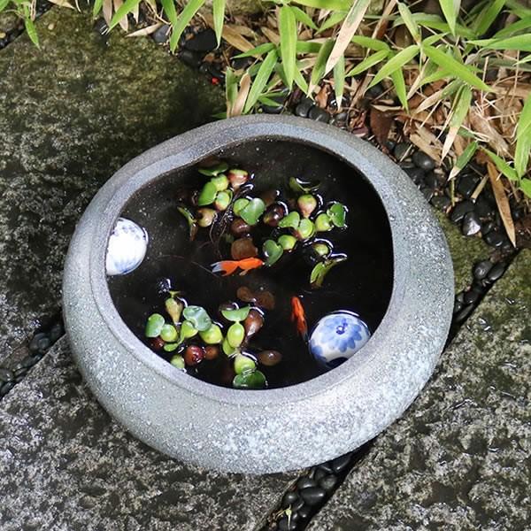信楽焼 睡蓮鉢 メダカ鉢 おしゃれ めだか鉢 陶器 水鉢 ビオトープ
