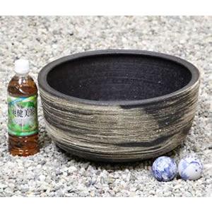 信楽焼 睡蓮鉢 メダカ鉢 おしゃれ めだか鉢 陶器 水鉢 ビオトープ