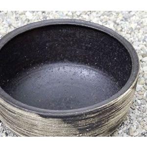 信楽焼 睡蓮鉢 メダカ鉢 おしゃれ めだか鉢 陶器 水鉢 ビオトープ