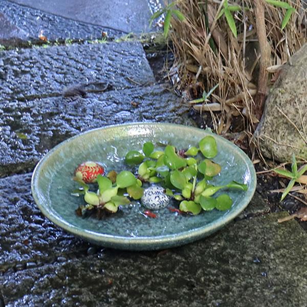 昭和レトロ　古民家・骨董。 陶器製茶色水鉢・睡蓮鉢③ 昭和レトロ 古民家・骨董。 陶器製茶色水鉢・睡蓮鉢③