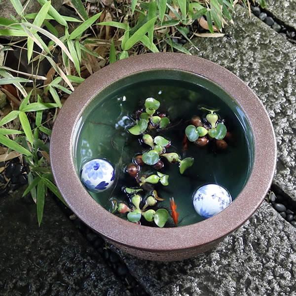 信楽焼 睡蓮鉢 メダカ鉢 おしゃれ めだか鉢 陶器 水鉢 ビオトープ