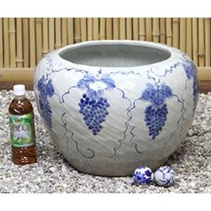 信楽焼 睡蓮鉢 メダカ鉢 おしゃれ めだか鉢 陶器 水鉢 ビオトープ