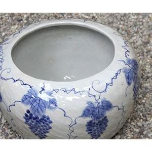信楽焼 睡蓮鉢 メダカ鉢 おしゃれ めだか鉢 陶器 水鉢 ビオトープ