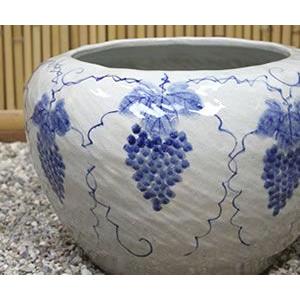 信楽焼 睡蓮鉢 メダカ鉢 おしゃれ めだか鉢 陶器 水鉢 ビオトープ