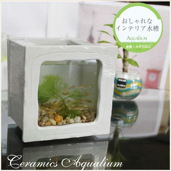 ブランド登録なし - 信楽焼 瀬戸もの海洋博物館 瀬戸もの 玻璃 海洋博物館 和風  室内装飾 メダカ鉢 金魚鉢 水鉢 やきもの ミニサイズ 角型（白いこと）su-0213 鉢、プランター-園芸用品