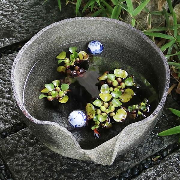 信楽焼 壺 傘立て 大壺 金魚鉢 睡蓮鉢 メダカ 和風