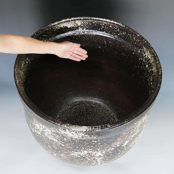 信楽焼 睡蓮鉢 メダカ鉢 おしゃれ めだか鉢 陶器 水鉢 ビオトープ