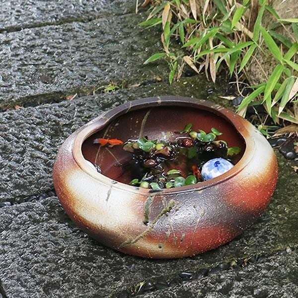 信楽焼 睡蓮鉢 メダカ鉢 おしゃれ めだか鉢 陶器 水鉢 ビオトープ