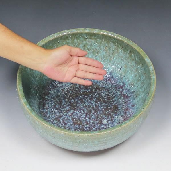 信楽焼 睡蓮鉢 メダカ鉢 おしゃれ めだか鉢 陶器 水鉢 ビオトープ